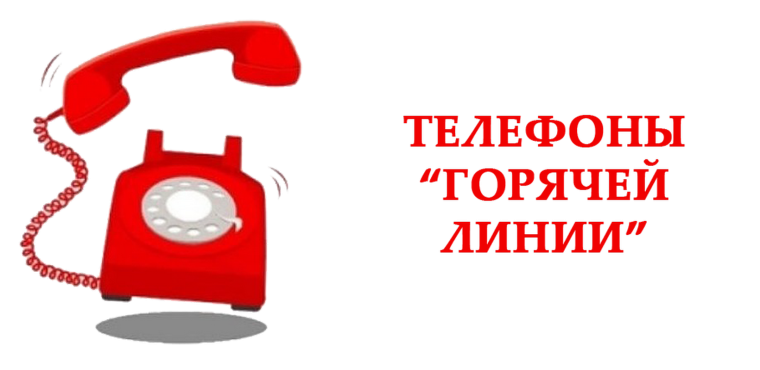 О работе «горячей линии» по профилактике КВЭ.